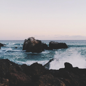 日本激情四射视频
